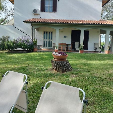 Agriturismo Uliveto Gretacci Montemerano Luaran gambar