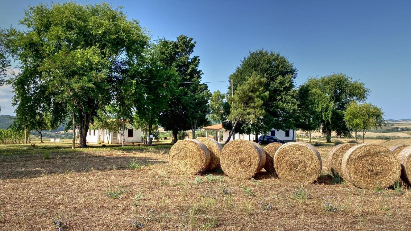 Agriturismo Uliveto Gretacci Montemerano Luaran gambar