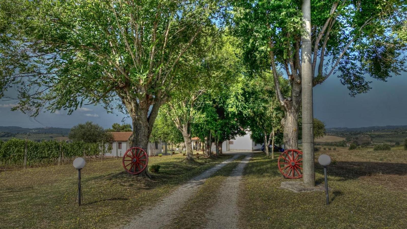 Agriturismo Uliveto Gretacci Montemerano Luaran gambar