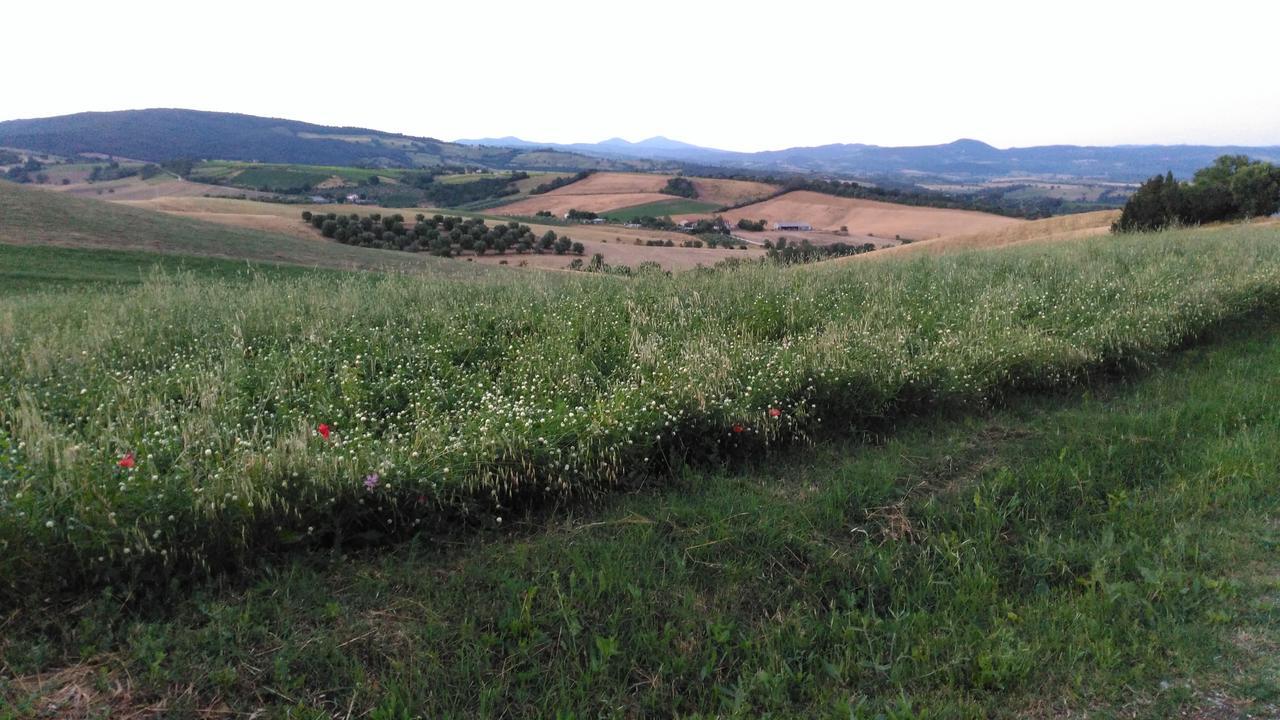Agriturismo Uliveto Gretacci Montemerano Luaran gambar