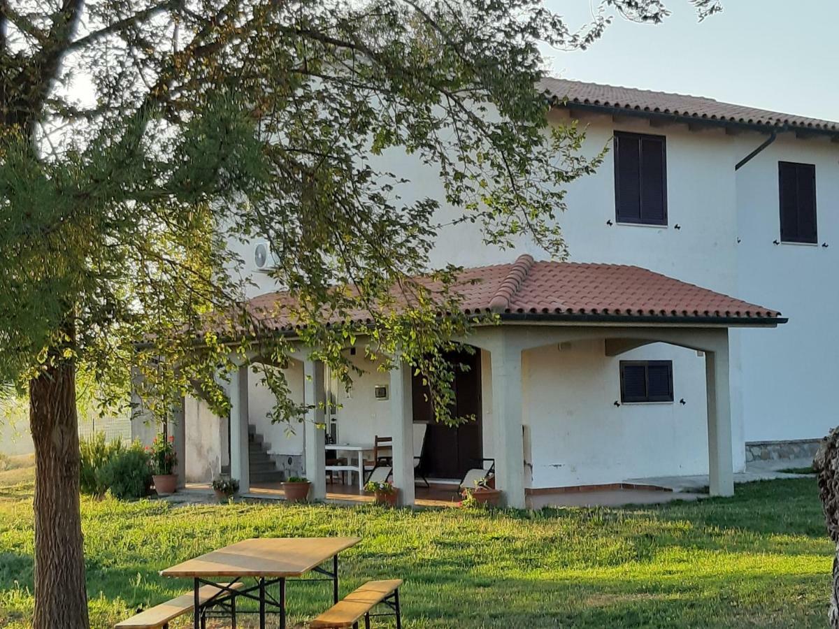 Agriturismo Uliveto Gretacci Montemerano Luaran gambar