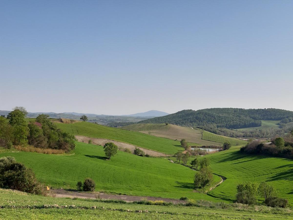 Agriturismo Uliveto Gretacci Montemerano Luaran gambar