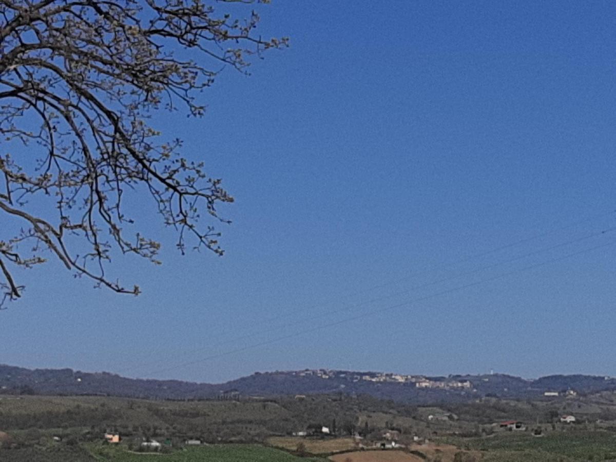 Agriturismo Uliveto Gretacci Montemerano Luaran gambar